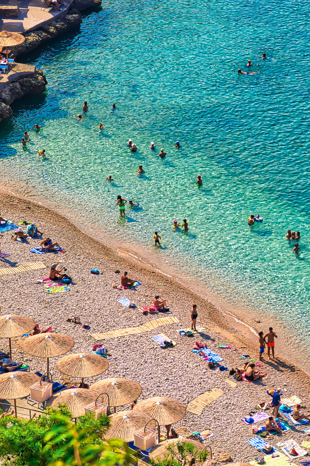 Paralia arvanitia