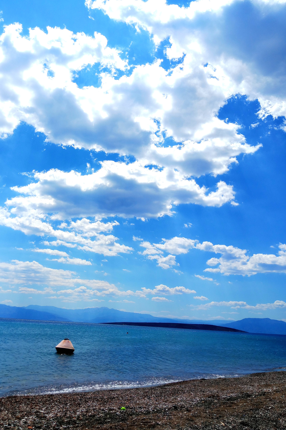 paralia cantia